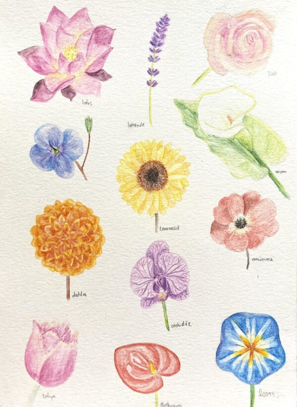 illustration fleurs crayon de couleur